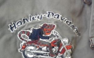Nohavice zn. Harley Davidson